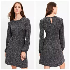 NWT LOFT Metallic Mini Flare Dress - Size L